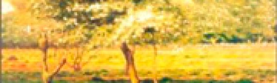 ROBERT MARTEAU Des chevaux parmi les arbres