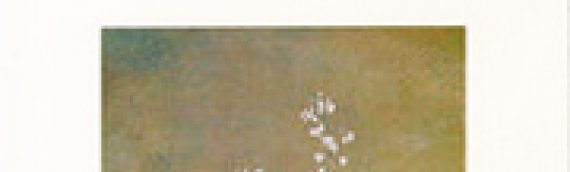 RICHARD MILLET Le sentiment de la langue II