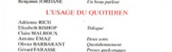 Le Nouveau Recueil – n°49 – L’usage du quotidien