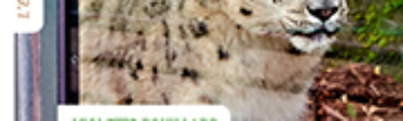 VIOLETTE POUILLARD Histoire des zoos par les animaux